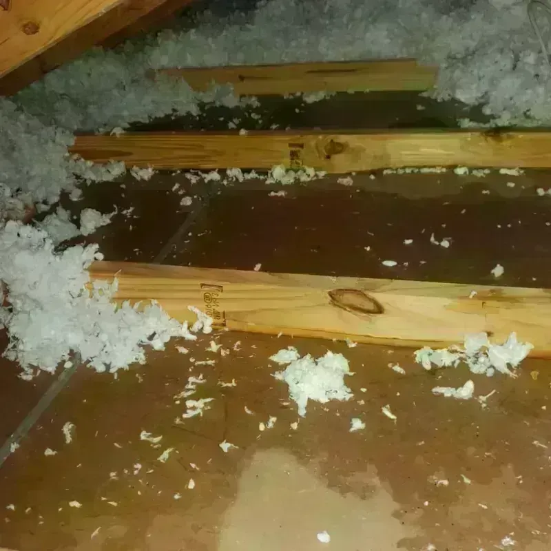 Attic Water Damage in Rhome, TX