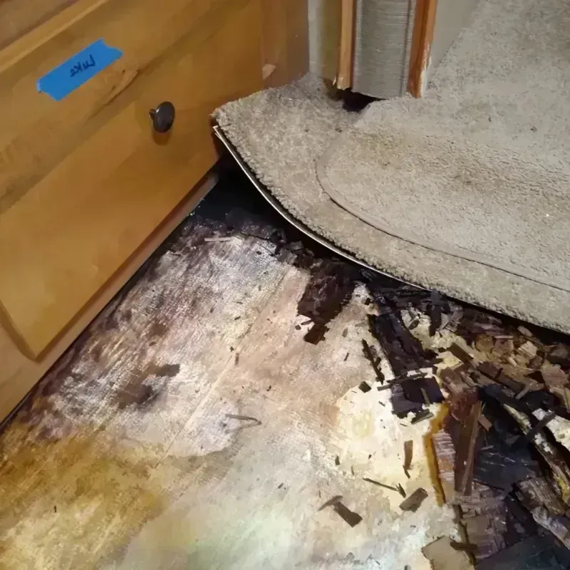 Best Wood Floor Water Damage Service in Rhome, TX